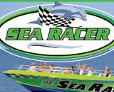 Sea Racer Dolphin Tours